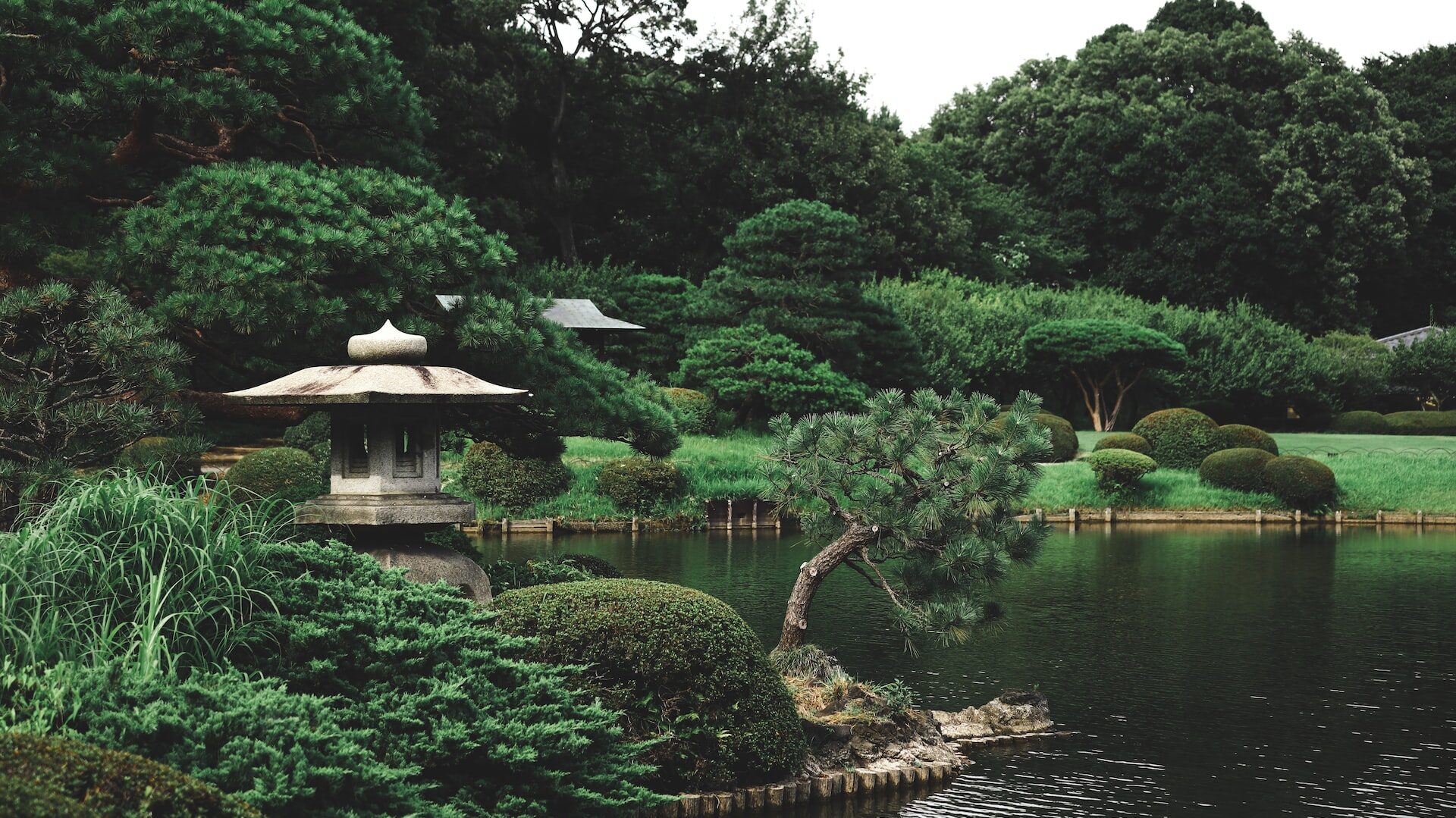 Shinjuku Gyoen National Garden