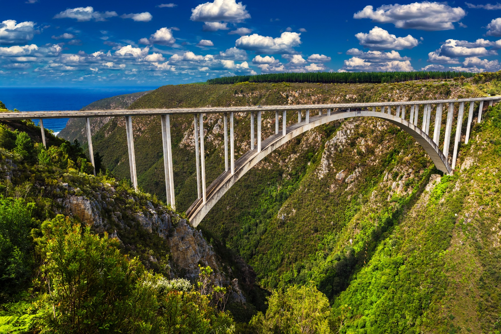 Bloukrans Bridge