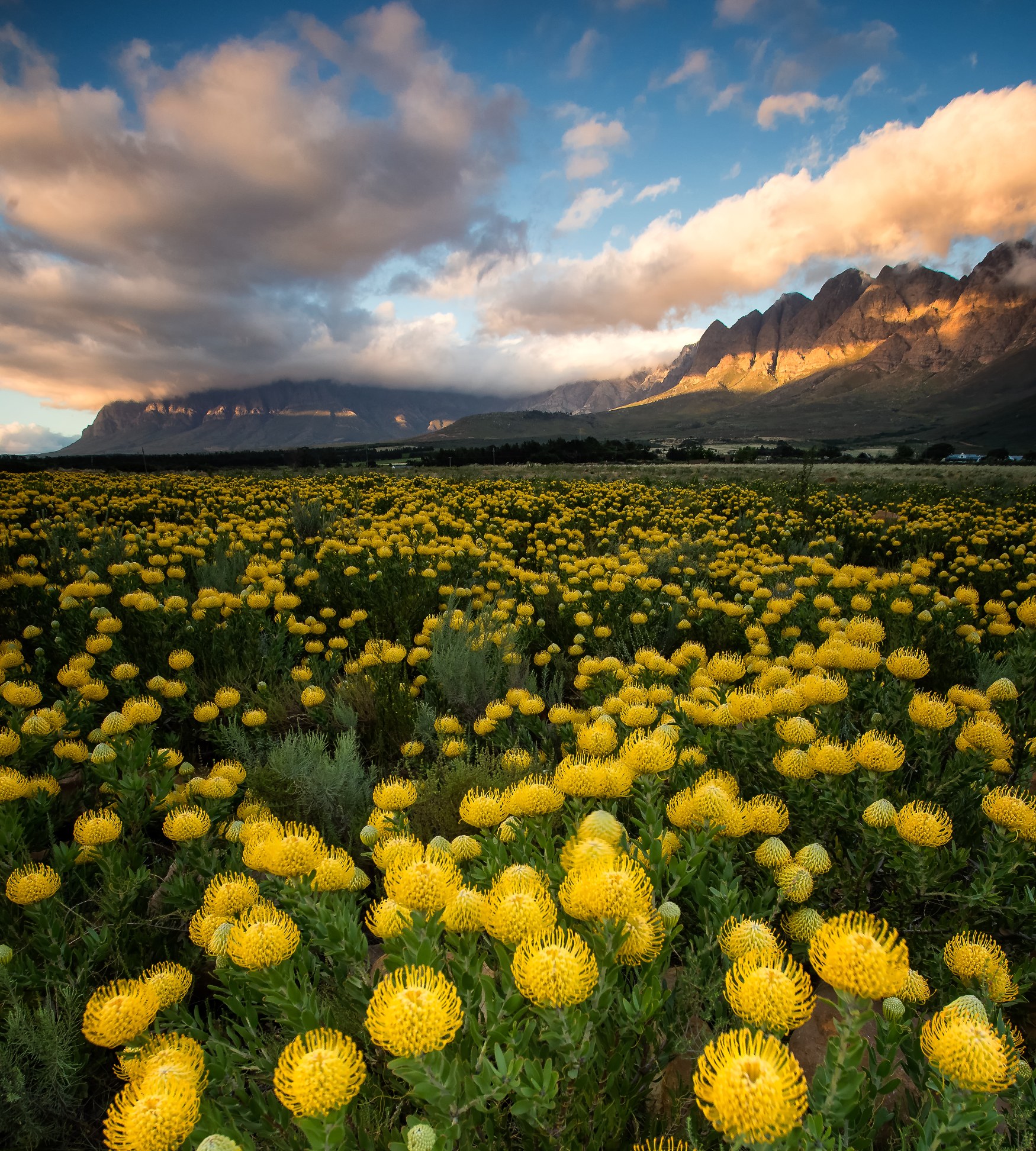 Garden Route Botanical Garden