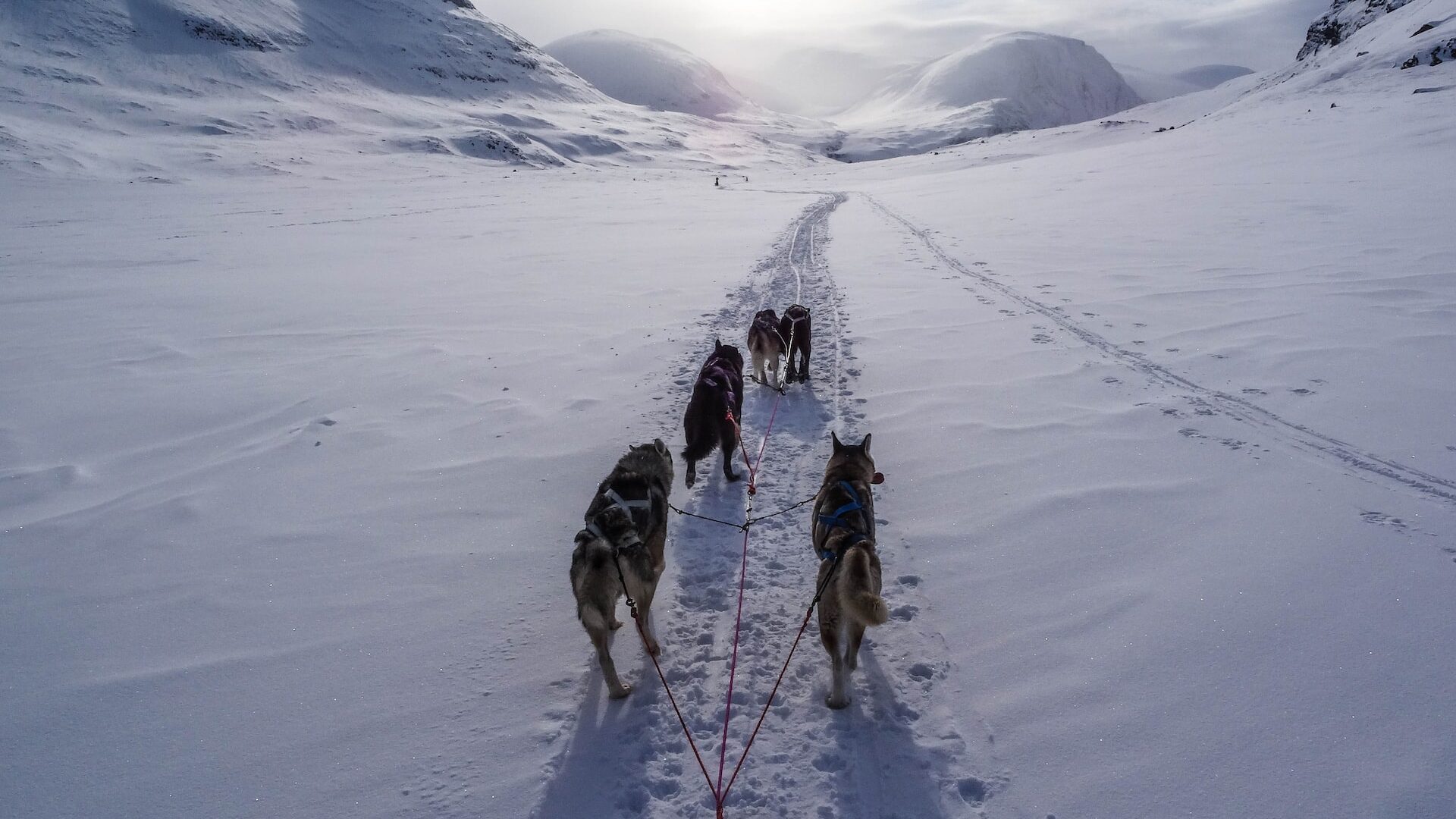 Iceland in February weather, sledding down a snowy field