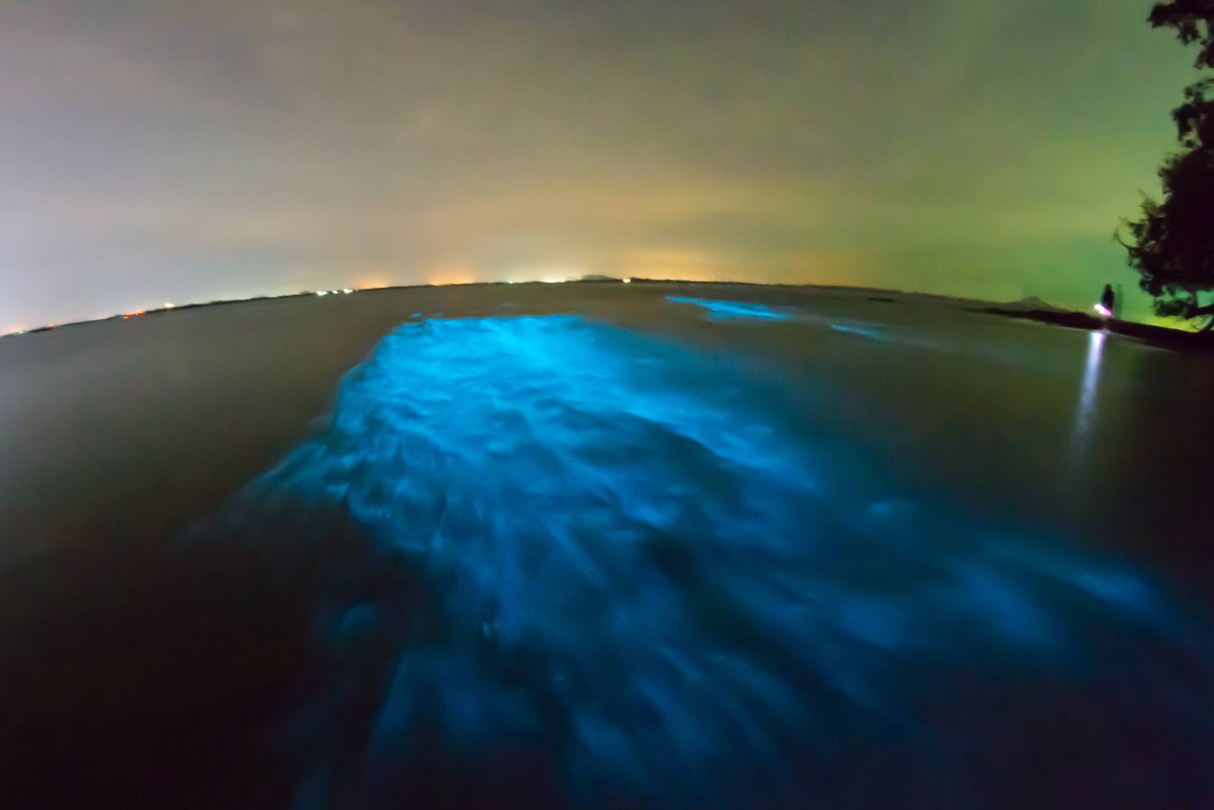 Ton Sai, Krabi in Thailand a best bioluminescent beaches in the world