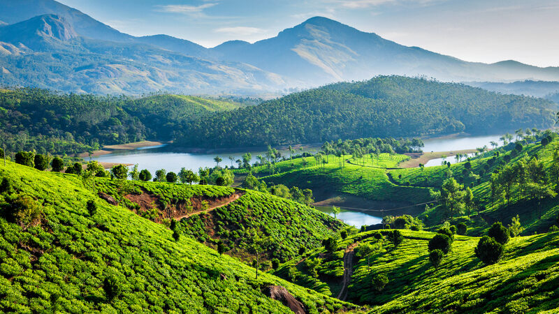 Munnar, visit Kerala