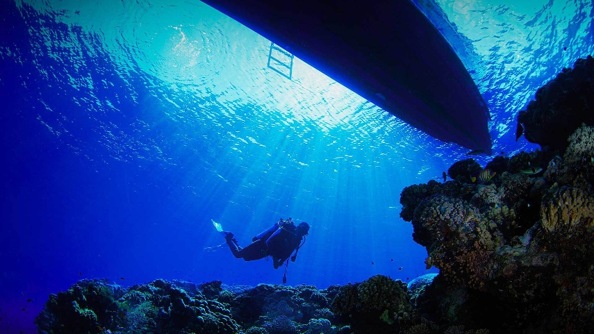 Activities in the Red sea.