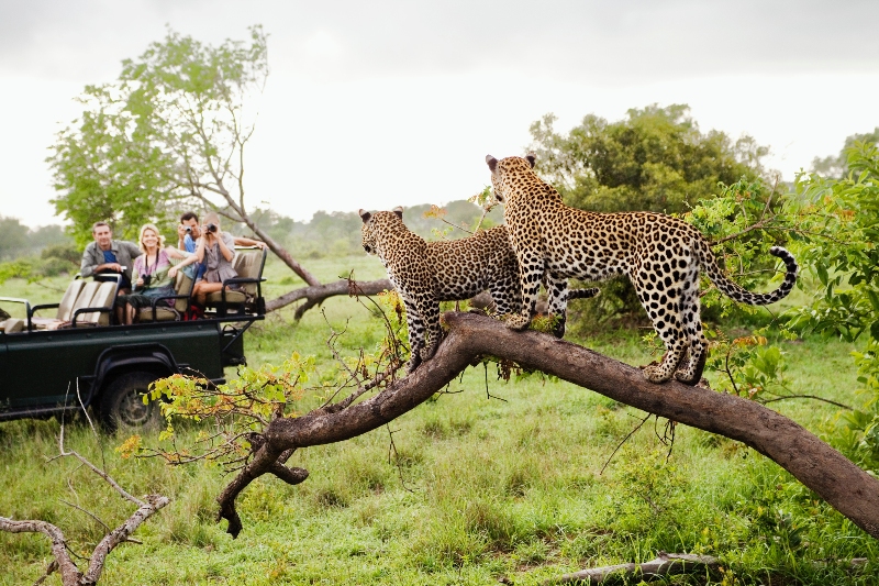 Kruger National Park a best place to go on holiday in july for a long haul with family