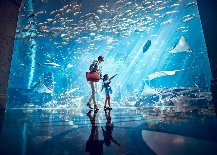 Must explore underwater kingdom