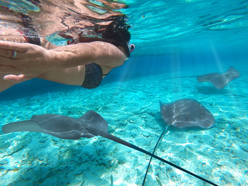 Snorkelling and diving in bora bora