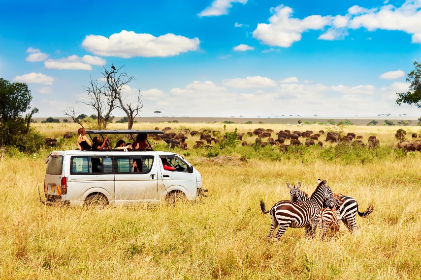 Kenya a best honeymoon destination in august