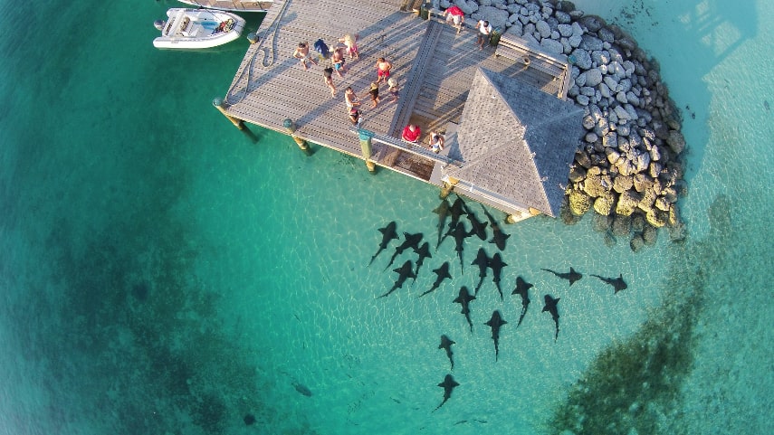 Bahamas a best holiday destination in December