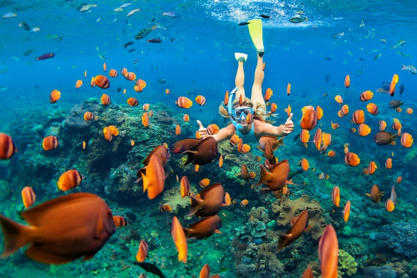 Maldives a best holiday destination in December