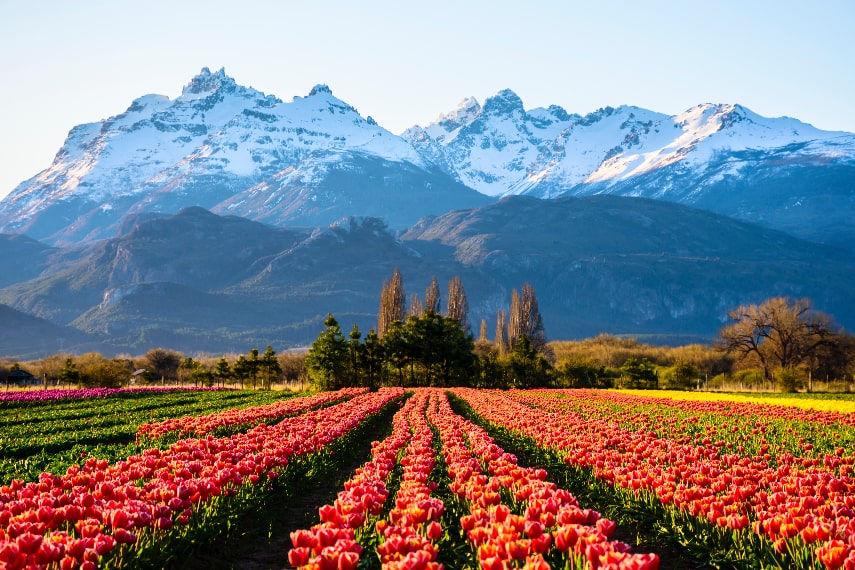 Visit Argentina