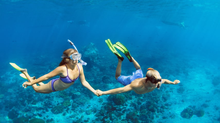 visit Australia for honeymoon