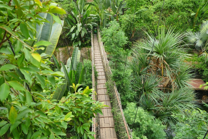 Visit Uganda in October