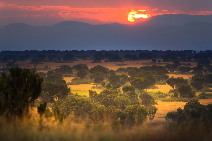 Visit Uganda