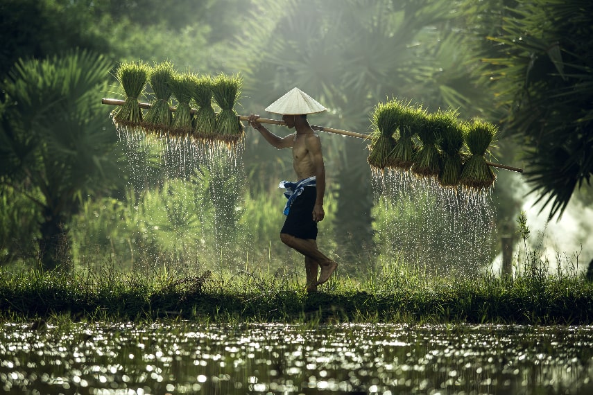 Visit Vietnam in January