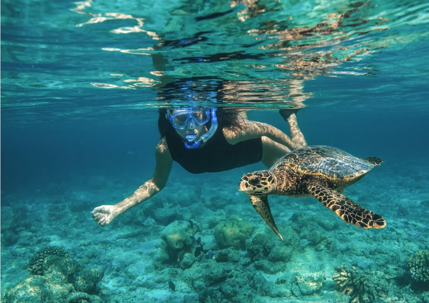 Baros Maldives have best house reef in the Maldives