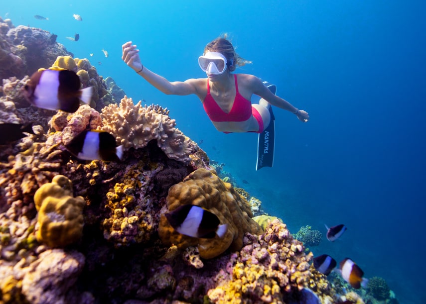 Dusit Thani Maldives have best house reef in the Maldives