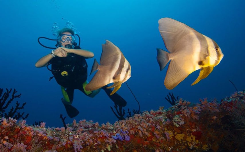 Hideaway Beach Resort & Spa have best house reef in the Maldives