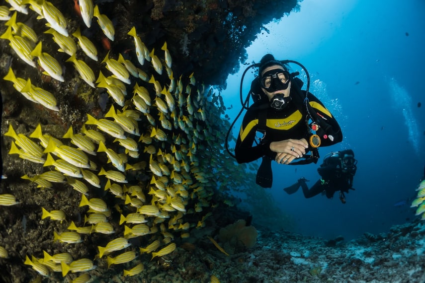 Oblu Nature Helengeli have best house reef in the Maldives