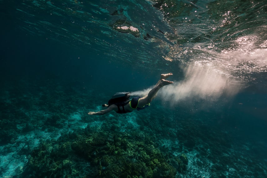 Siyam World Maldives have best house reef in the Maldives