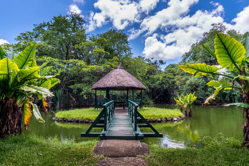 Travel to Mauritius in December