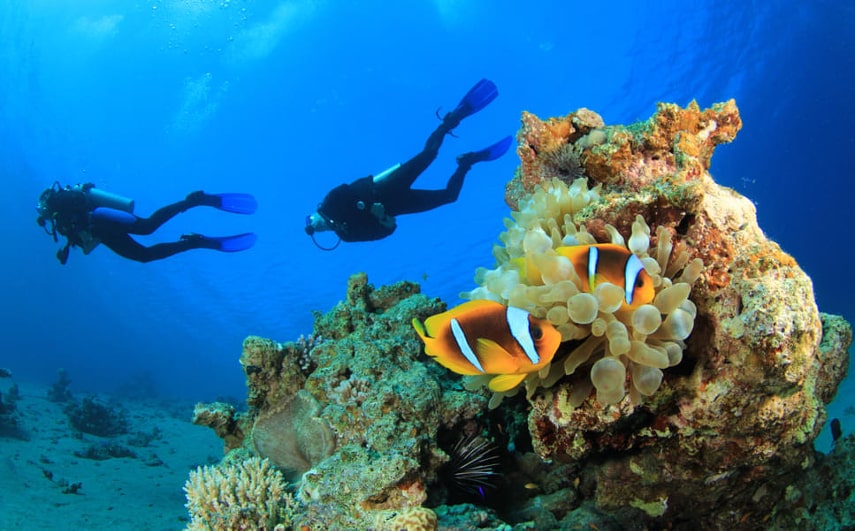 Vakkaru Maldives have best house reef in the Maldives
