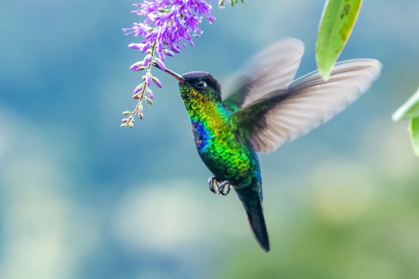 Visit Costa Rica in May