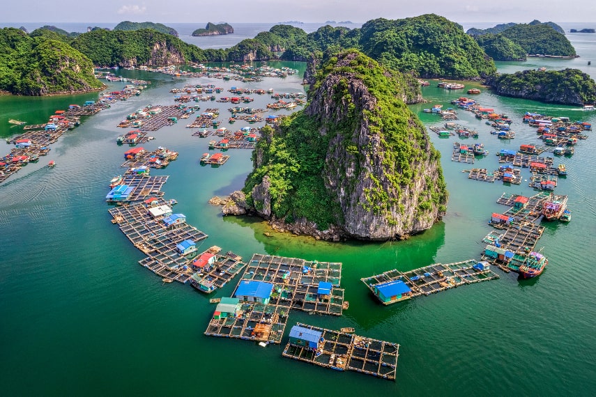 Visitor Arrivals in Vietnam in November