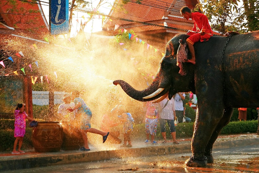 What to do in Thailand in January