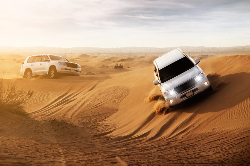 Embark on an unforgettable desert safari