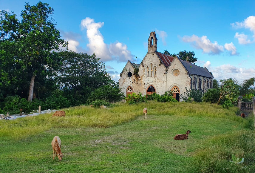 Visit Barbados in August
