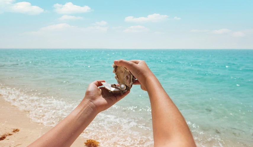 fascinating world of pearl farming at Suwaidi Pearls, Ras Al Khaimah's only pearl farm