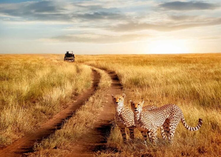 South Africa a winter sun destination