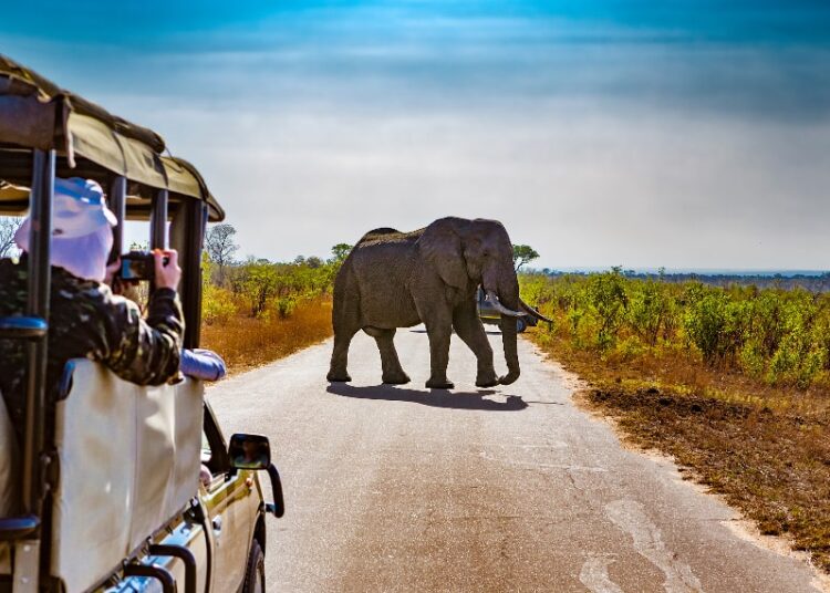 South Africa a best affordable holiday destination