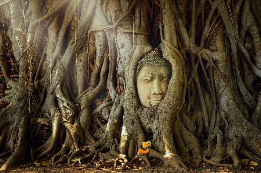 What to Do in Thailand in May