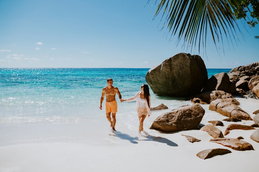 Visitor Arrivals in Seychelles