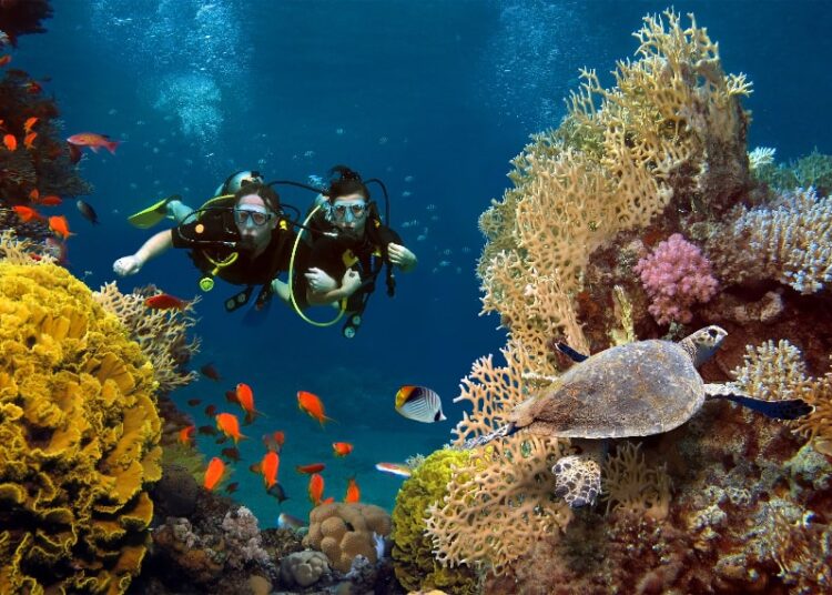 What to Do in the Maldives in March