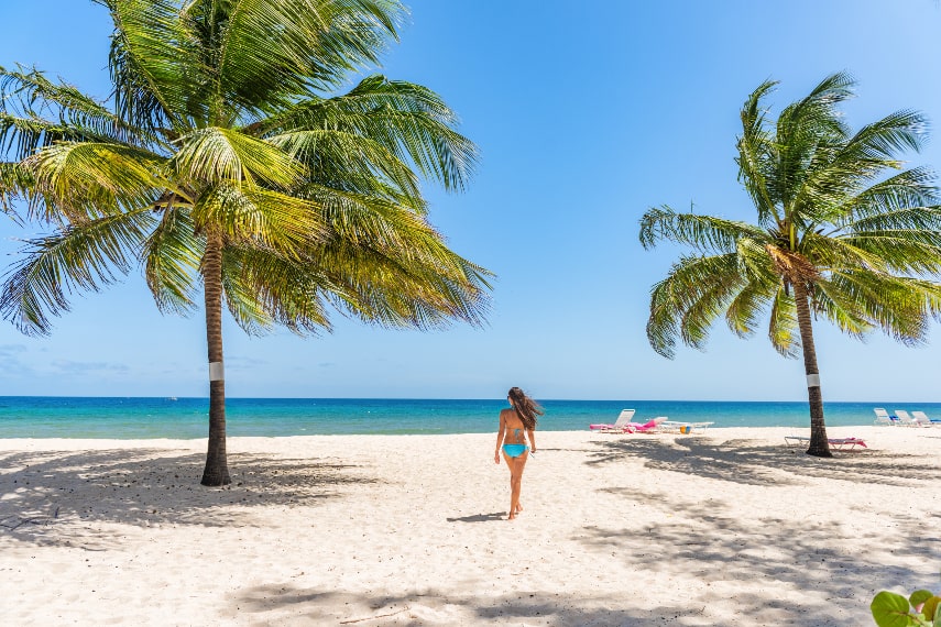 Visit Barbados in January