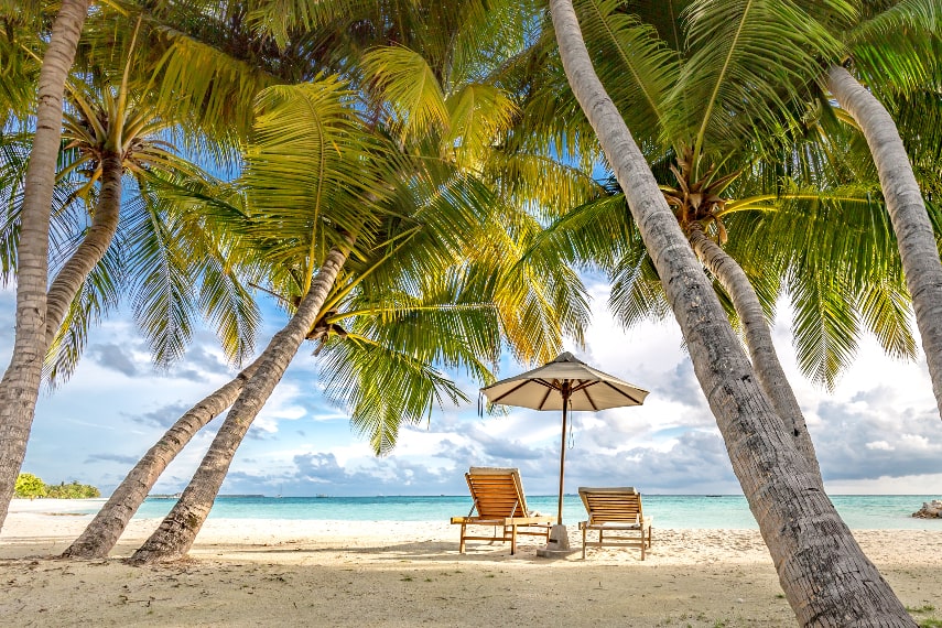 Weather in Barbados in January