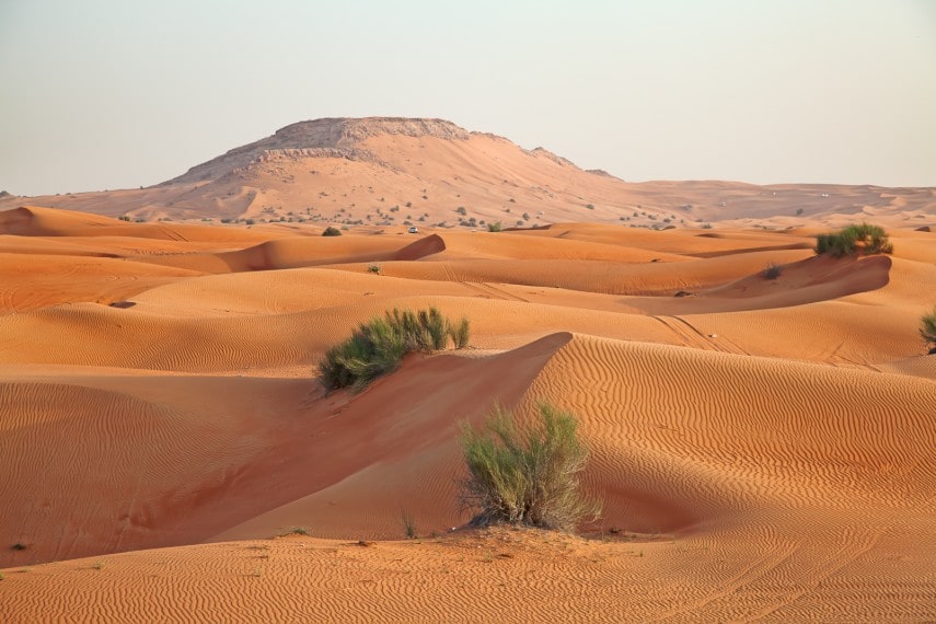 Dunes of Arabia