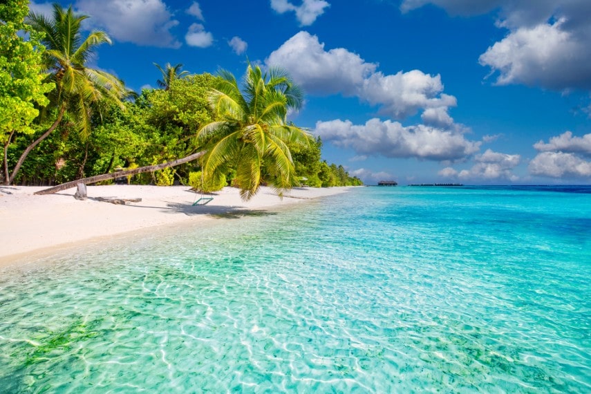 Visit Barbados in February
