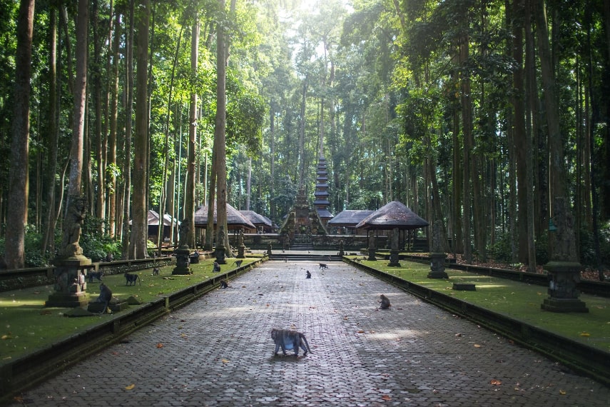 Visitor Arrivals in Bali in July