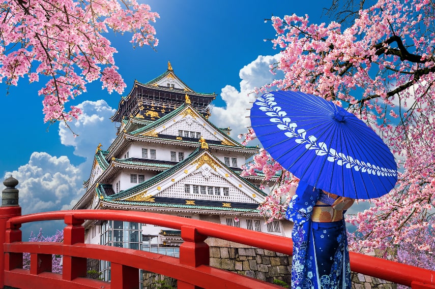 Cherry Blossom Festival in Japan