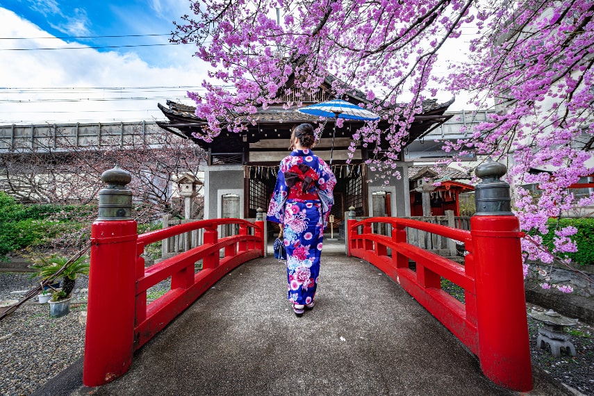 Significance of Cherry Blossoms in Japanese