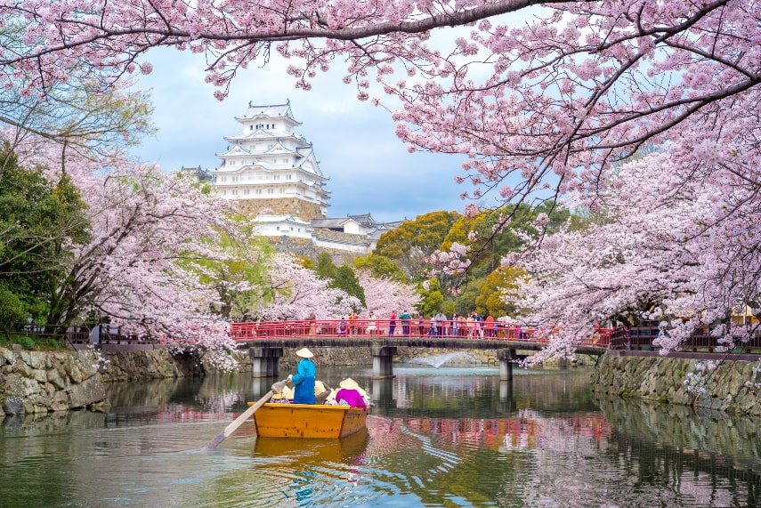 Visit Japan in May