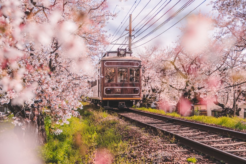 Visitor Arrivals in Japan in May