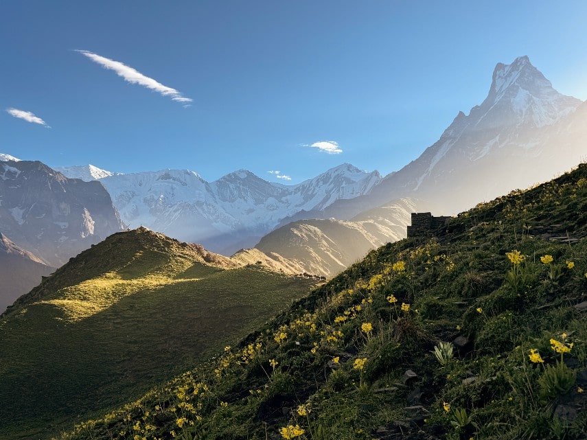 Garhwal Himalayas at Valley of Flowers