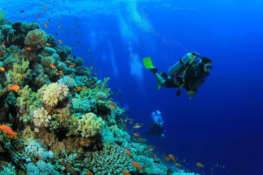 Emerald Maldives Resort & Spa a best diving resort in the Maldives