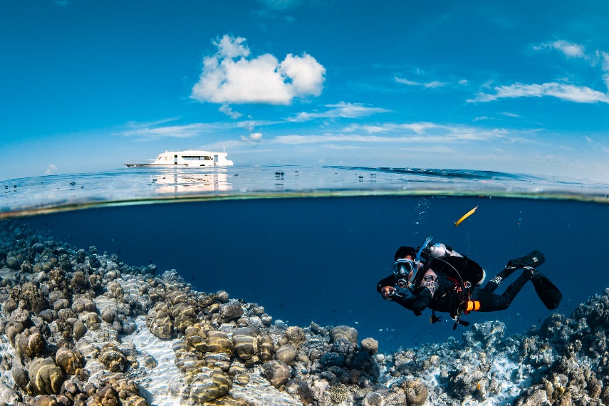 Le Méridien Maldives Resort & Spa a best diving resort in the Maldives