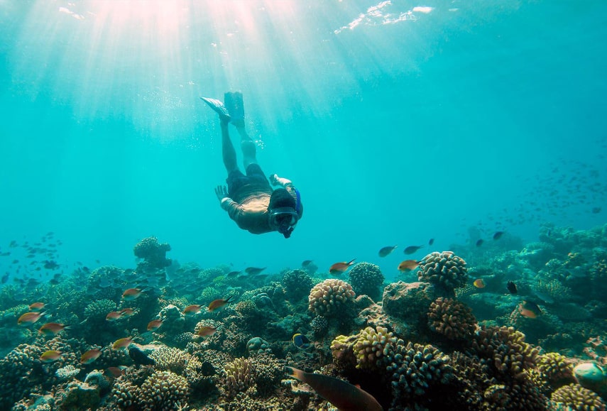 LUX* South Ari Atoll a best diving resort in the Maldives