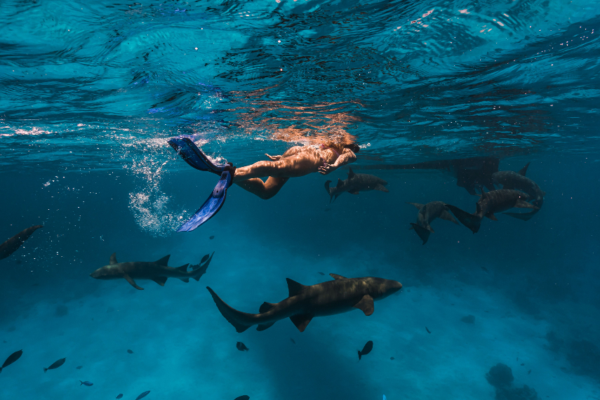 Sun Siyam Iru Veli a best diving resort in the Maldives